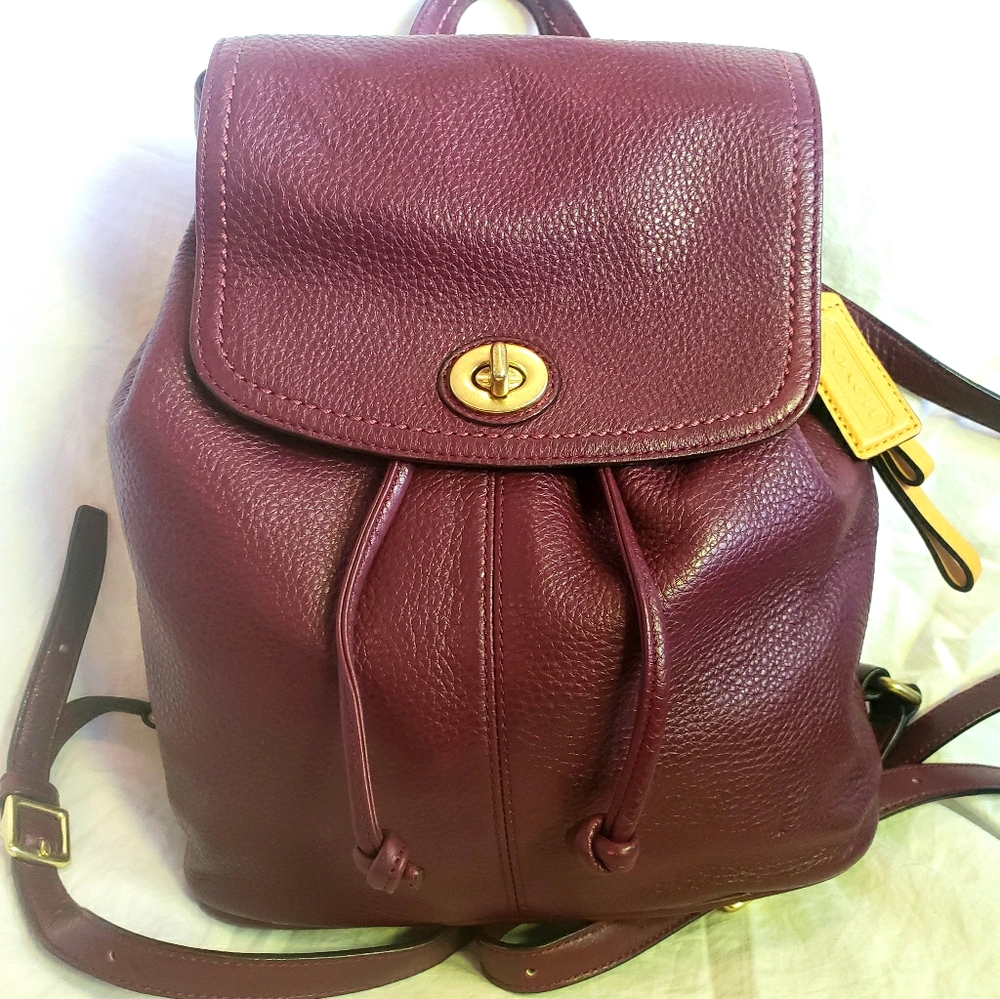 Coach Park Pebbled Leather Mini Backpack